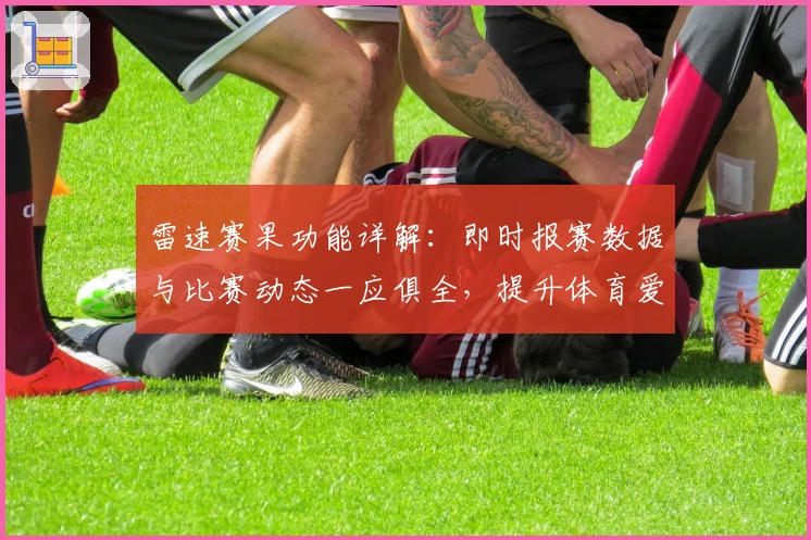 雷速赛果功能详解:即时报赛数据与比赛动态一应俱全,提升体育爱好者体验