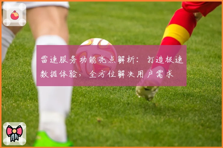 雷速服务功能亮点解析：打造极速数据体验，全方位解决用户需求