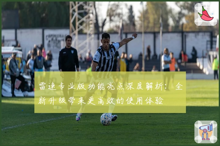 雷速专业版功能亮点深度解析：全新升级带来更高效的使用体验